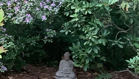 Buddha sculpture under a purple flowering rhodedendron