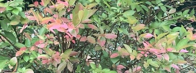 Return to the Earth&nbsp;Moon